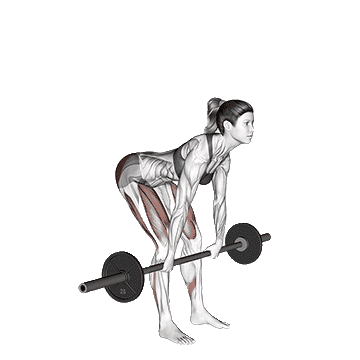 Barbell-Romanian-Deadlift-unscreen.gif