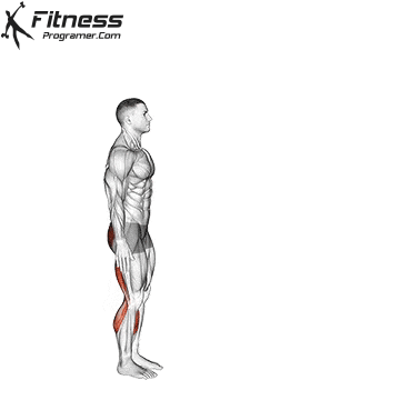 Samakonasana-Straight-Angle-Pose.gif