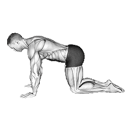 Neck-Extension-Stretching.png