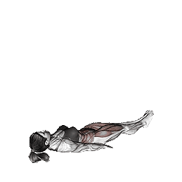 EPAULES.PNG