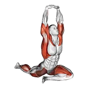 Ardha-Kapotasana-Half-Pigeon-Pose.webp