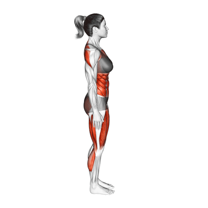 natarajasana-posture-du-danseur.gif