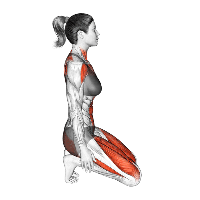 ustrasana-posture-du-chameau.gif