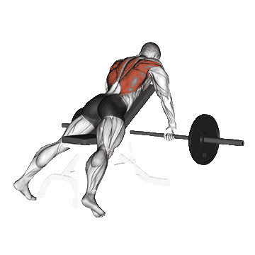 Incline-Barbell-Row-unscreen.gif