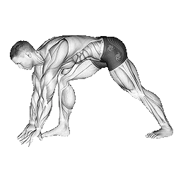 Neck-Extension-Stretching.png