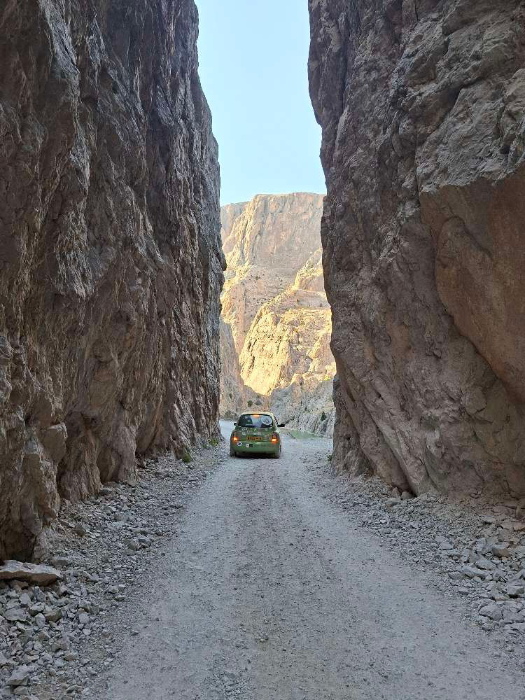 Daily Updates (Week 3-ish)