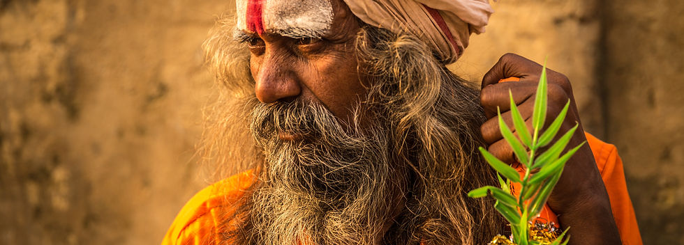 Traditional Indian Sage