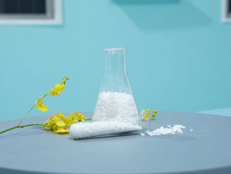 定額で通い放題!