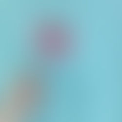 ご新規様限定キャンペーンのお知らせ