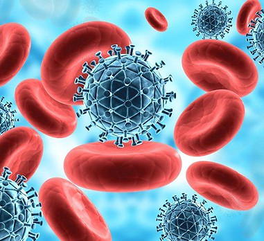 WolffAllergyAsthmaDetroitImmune.jpg