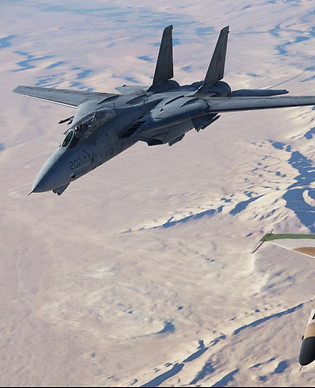 aviator-f14-tomcat-thames.jpg