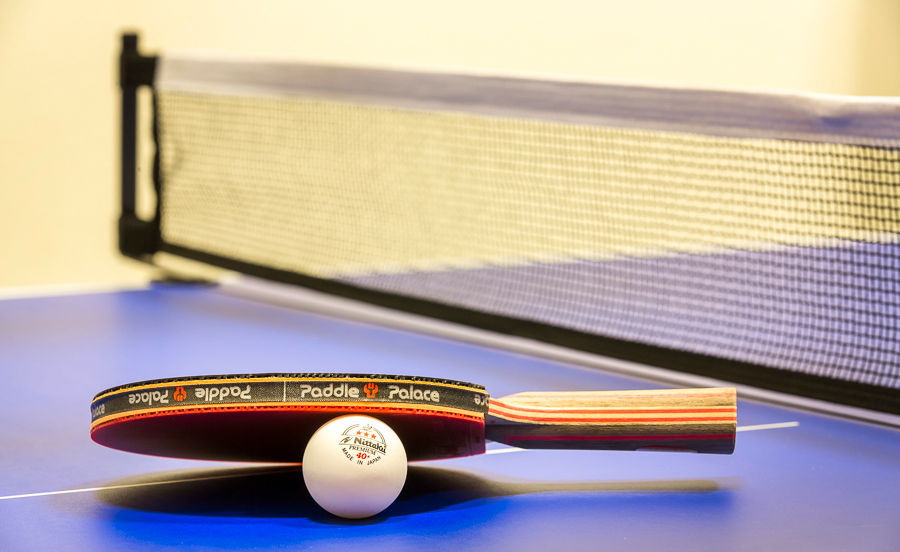 construction for Paddle Palace