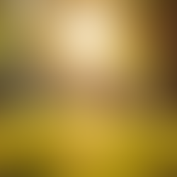 Sunlight exposure in a park promoting natural vitamin D production