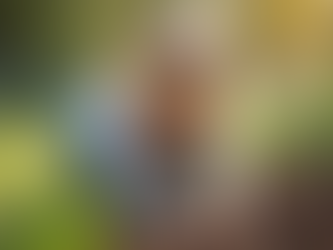 Child planting seeds in a garden bed, learning about food growth