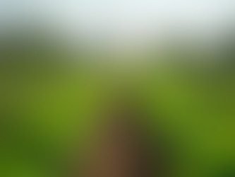 Community farm with diverse crops and greenhouse