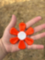 Orange and White Flower Hanging
