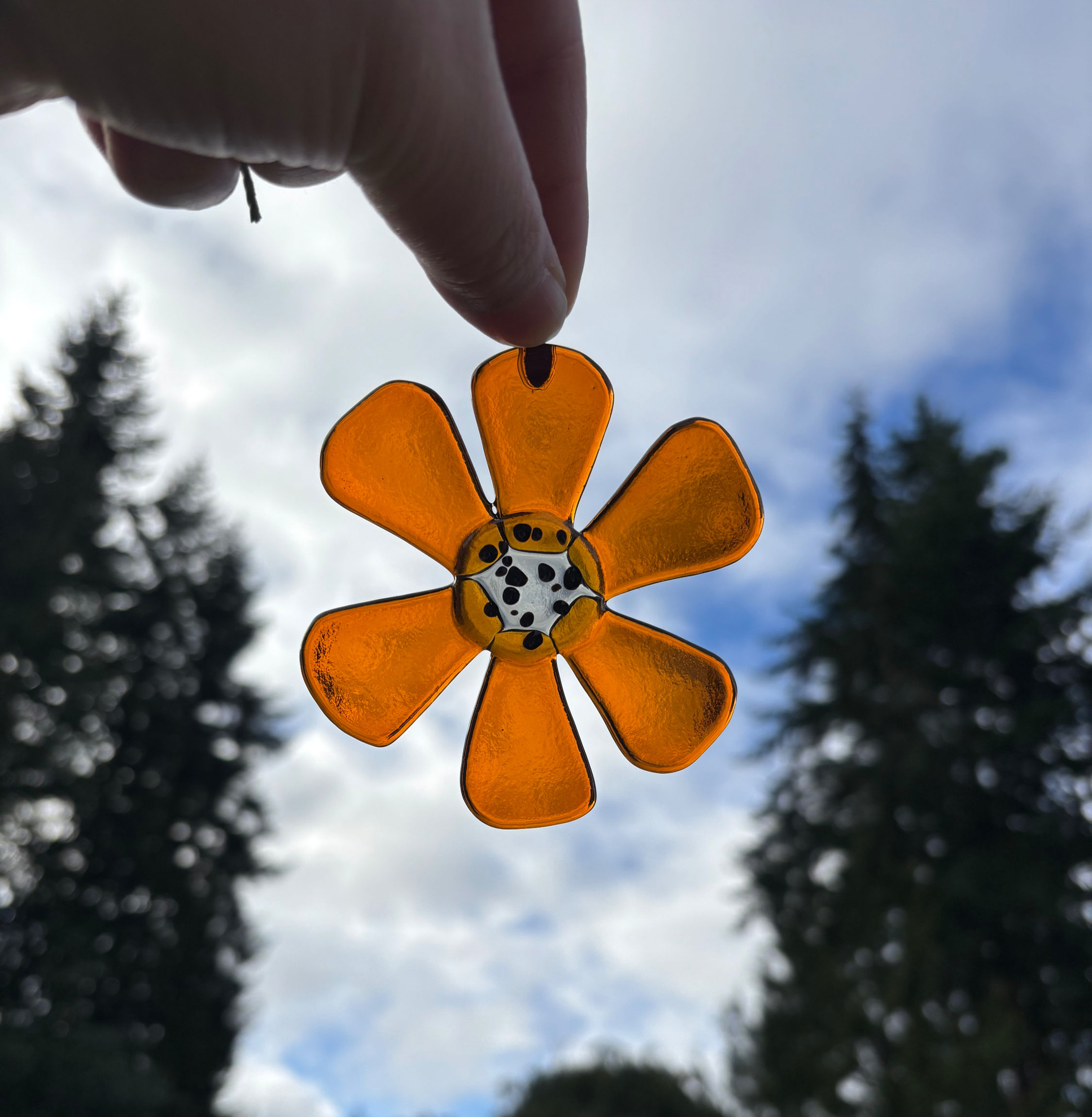 Transparent Flower
