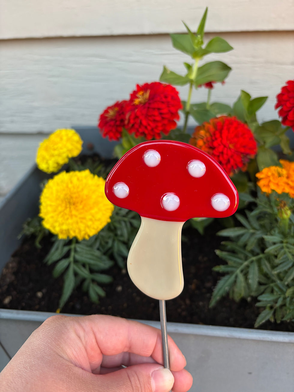 Textured Red Mushroom