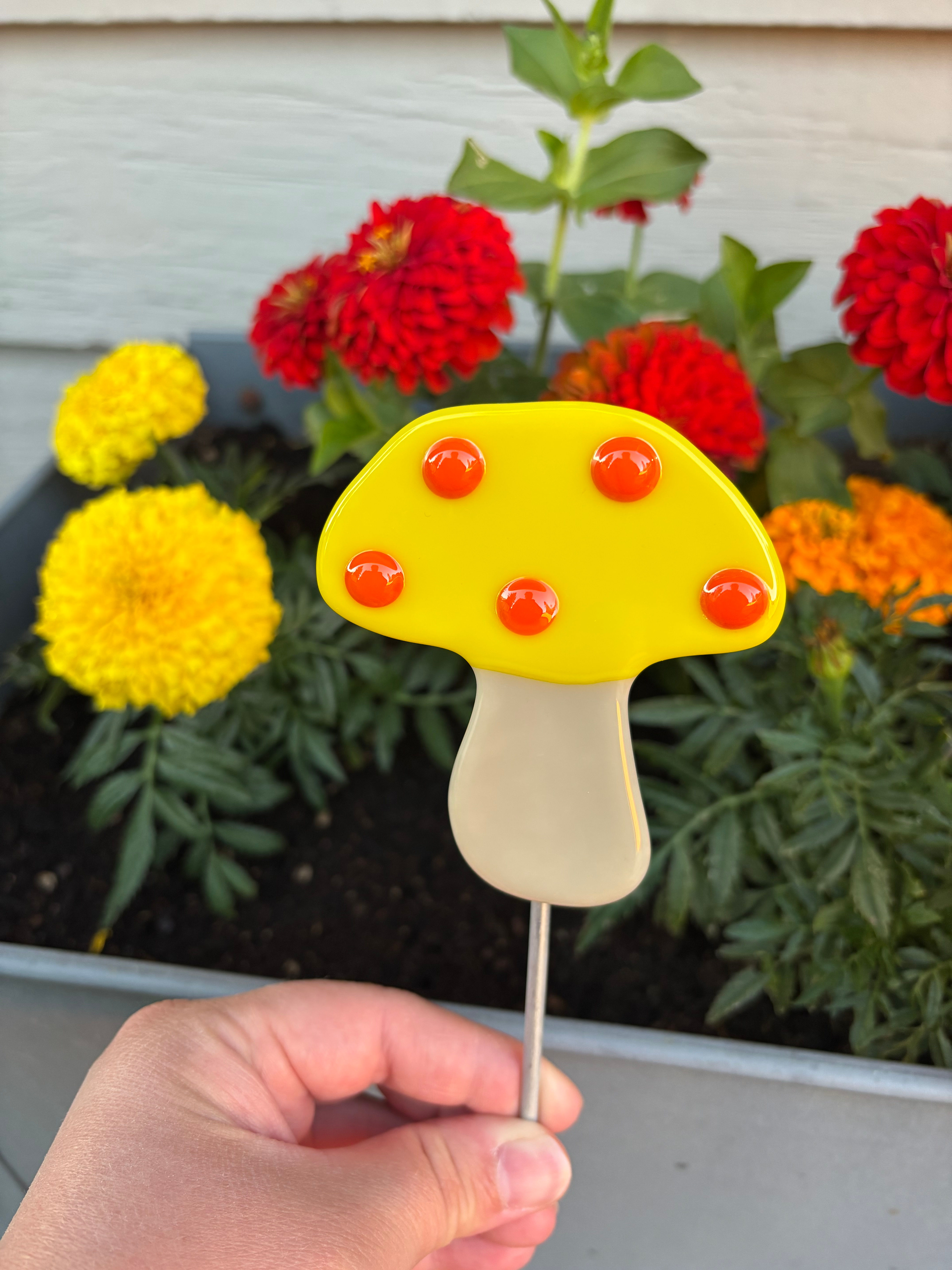 Textured Yellow and Orange Mushroom