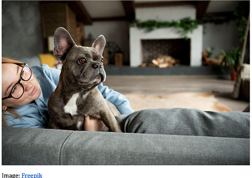 Screenshot 2025-12-29 at 10.09.33 PM.png