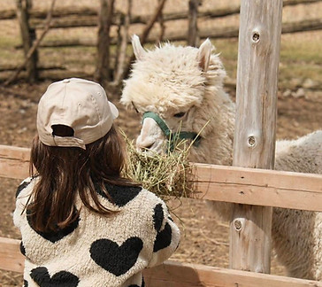 Nourrir les animaux