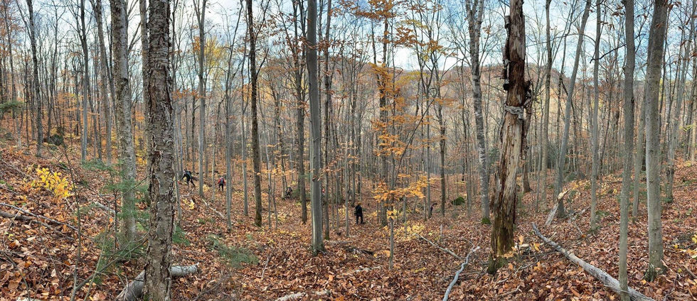 248793469_119307383855613_3350592199062359307_n