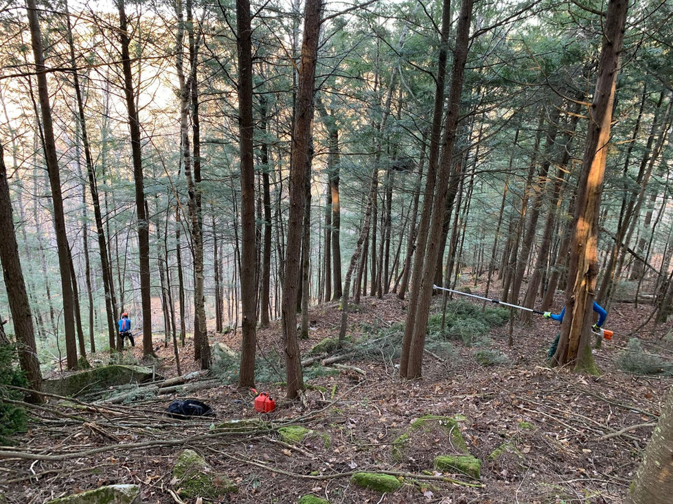 255010650_125711523215199_8819286497138455439_n