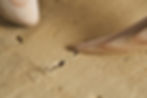No.069 虚 - uro -