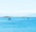 Tow foiling lesson with Jetski and foilers taken from Willows Beach_ copy.webp