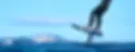 Person foilboarding above the ocean surface wearing a black wetsuit, riding a North foilbo