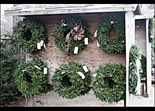 bilmar nurseries coupons