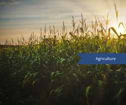 Liqour Liability (5)