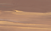 stock-18.png