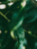 pexels-fotios-photos-4068155.jpg
