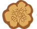 caapi logo