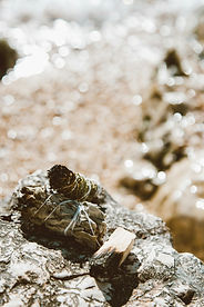 pexels-roman-odintsov-6574668.jpg