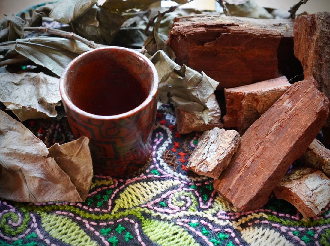 What is an Ayahuasca Plant Dieta?