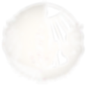 Ontwerp zonder titel-3_edited.png