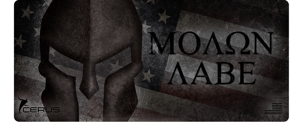 Miniaturbild: SPARTAN MOLON LABE HANDGUN CLEANING PROMAT