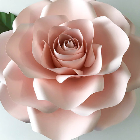 Svg New Large Rose Paper Flower Template Diy Cricut And Silhouette Machines Rea