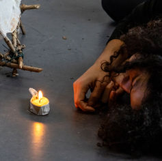 VIABLE UNKNOWNS: Sustainable and inclusive coexistence in the city