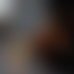 VIABLE UNKNOWNS: Sustainable and inclusive coexistence in the city 