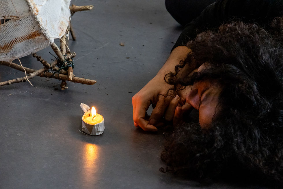 VIABLE UNKNOWNS: Sustainable and inclusive coexistence in the city