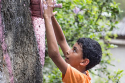 ARTISTLOVE "Morro das Cores" Brasil