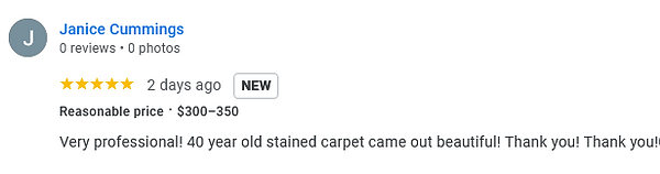 Google review screenshot from customer describing their experience with Suds Up Carpet Cleaning.