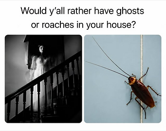 Screenshot 2026-09-15 at 06-10-39 (6) Florida Memes Facebook.png