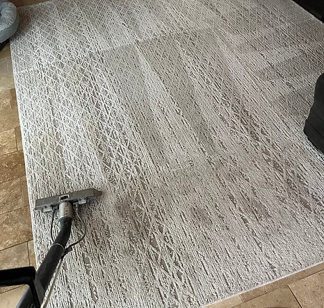 Professional area rug cleaning removing dirt and stains from a rug in a residential home