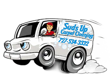 Pasco  county carpet cleaner