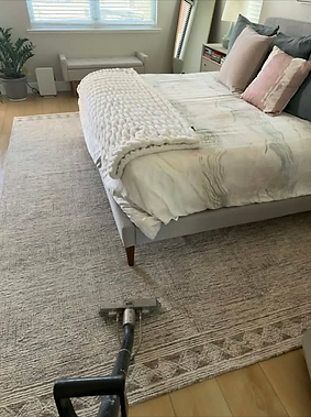 Screenshot 2026-09-25 at 06-54-50 (20) suds up carpet cleaning area rug - Search Results F
