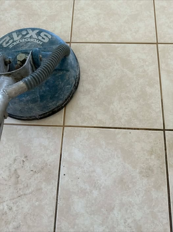 Screenshot 2026-03-12 at 12-34-32 (12) Suds Up Carpet Cleaning New Port Richey - Search Re